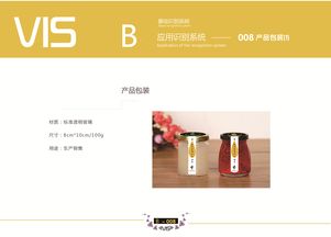 企业形象VI设计 策略与视觉的统一